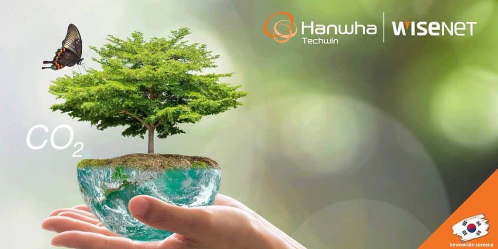 Esta es una fotografía de un árbol qué ilustra las Soluciones de video para la reducción de emisiones de carbono